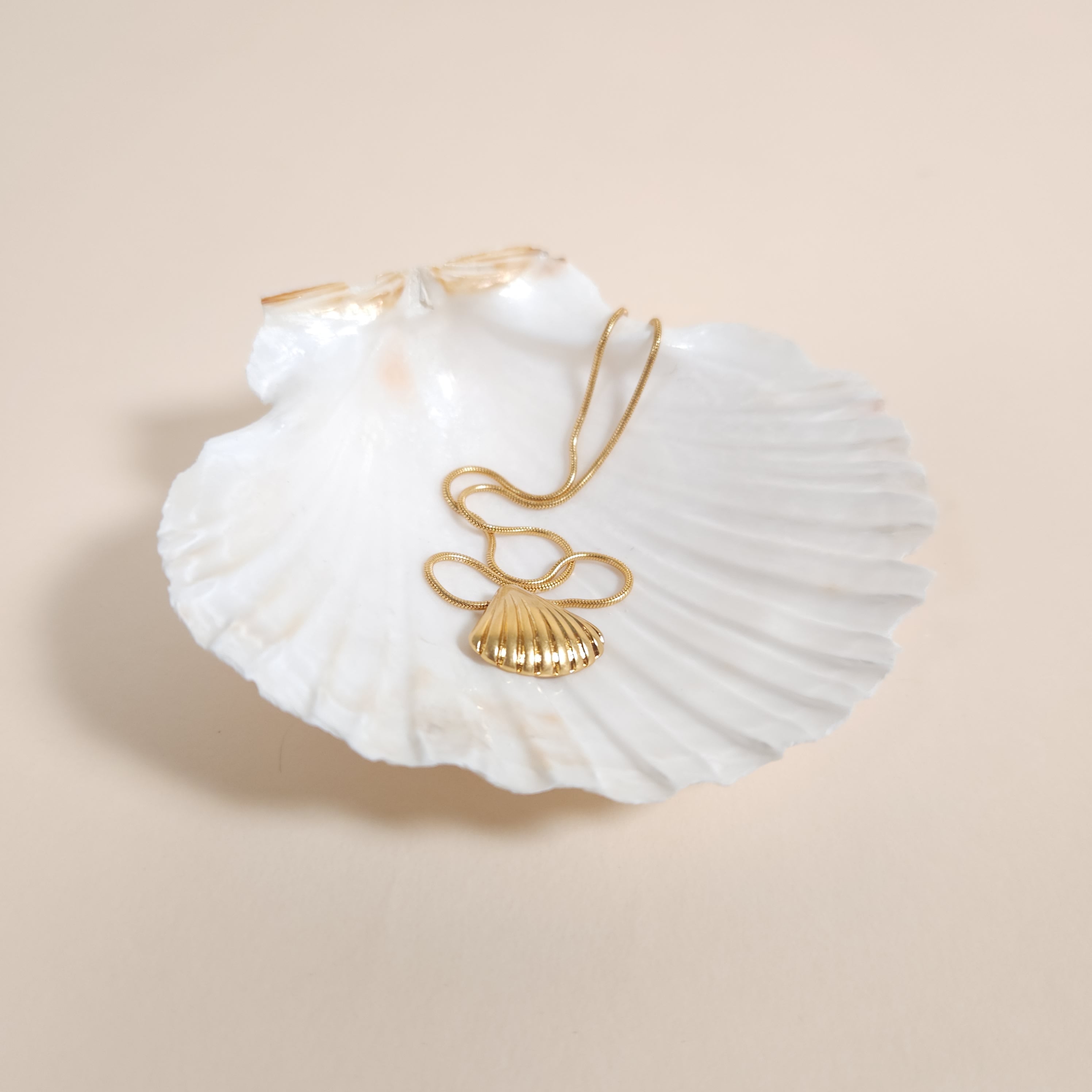 Coquille Mermaid Gold Shell Pendant Necklace for the Beach | Venus Loves Neptune
