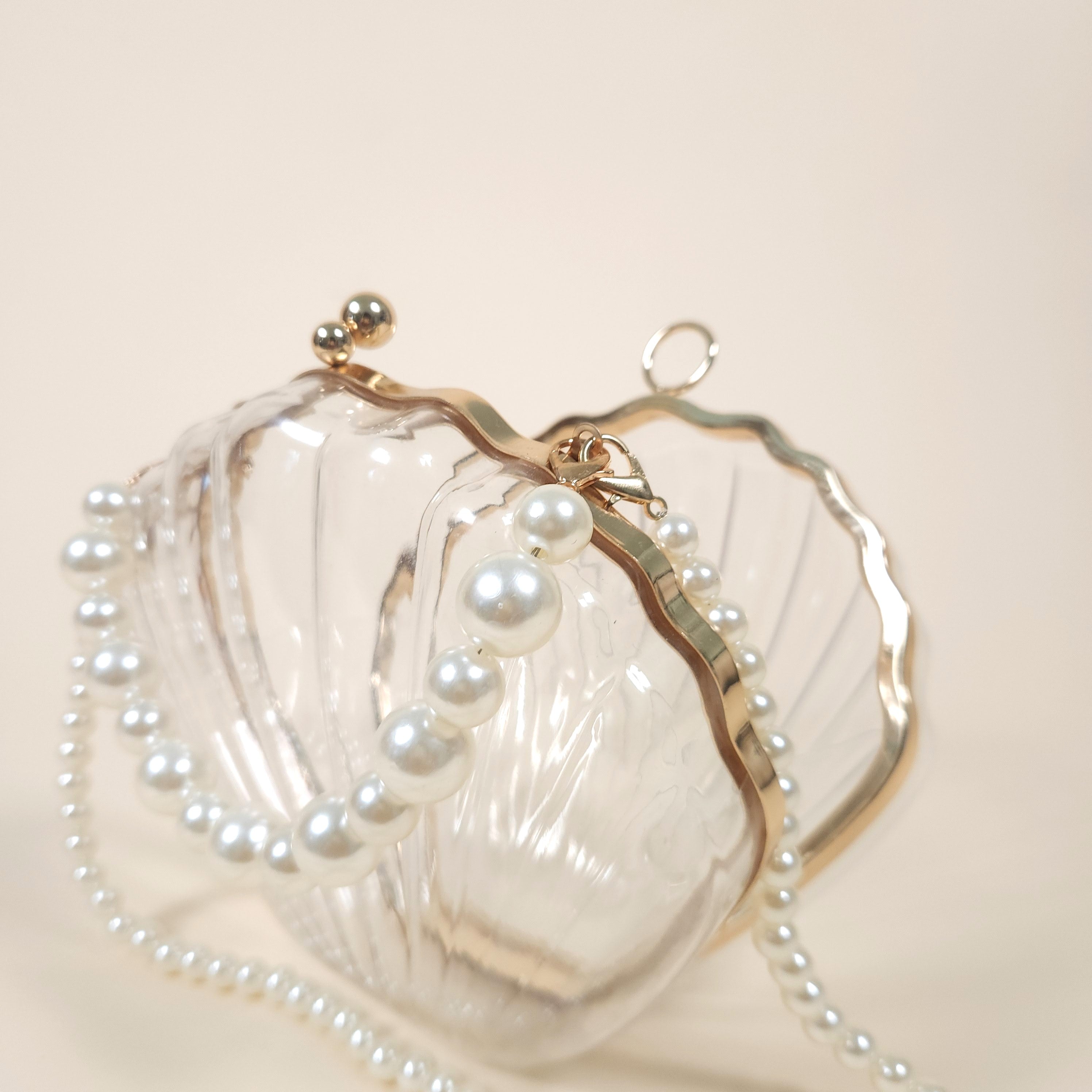 Marina Clear Mermaid Acrylic Shell Clutch Bag for the Beach | Venus Loves Neptune