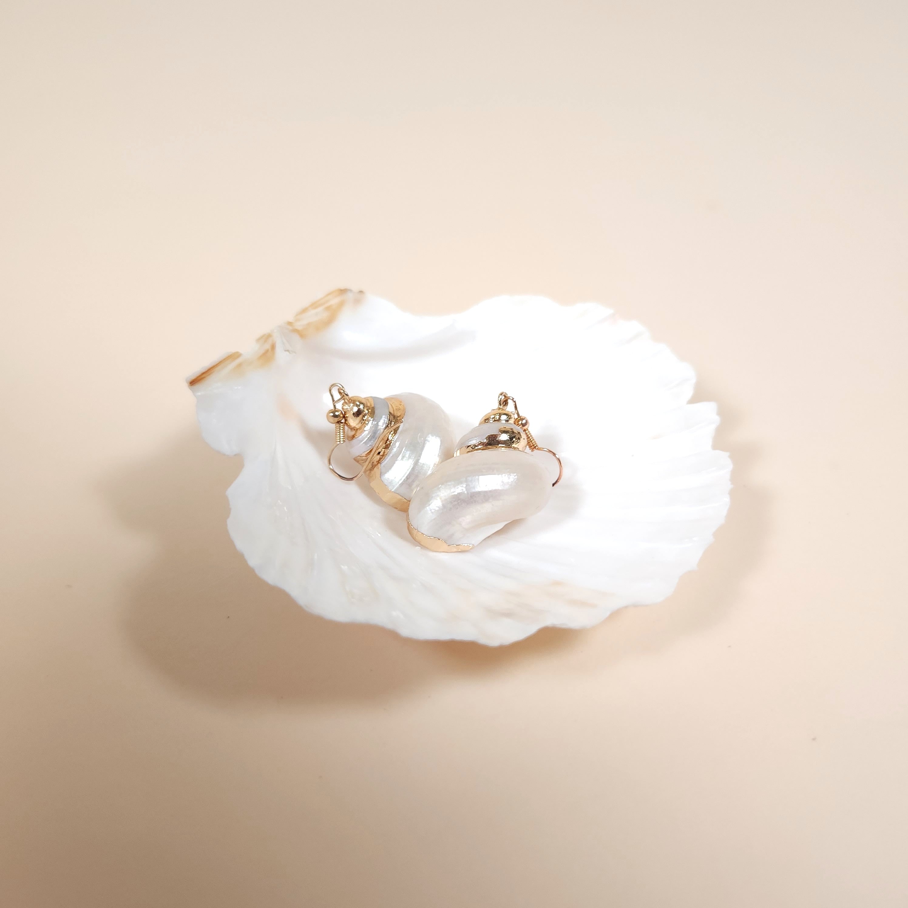 Pelagia Mermaid Turbo Shell Drop Earrings with Gold-Plated Hooks | Venus Loves Neptune